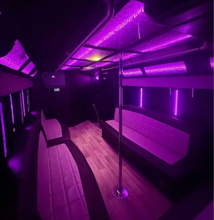 2019 Ford E-450 Limo Bus