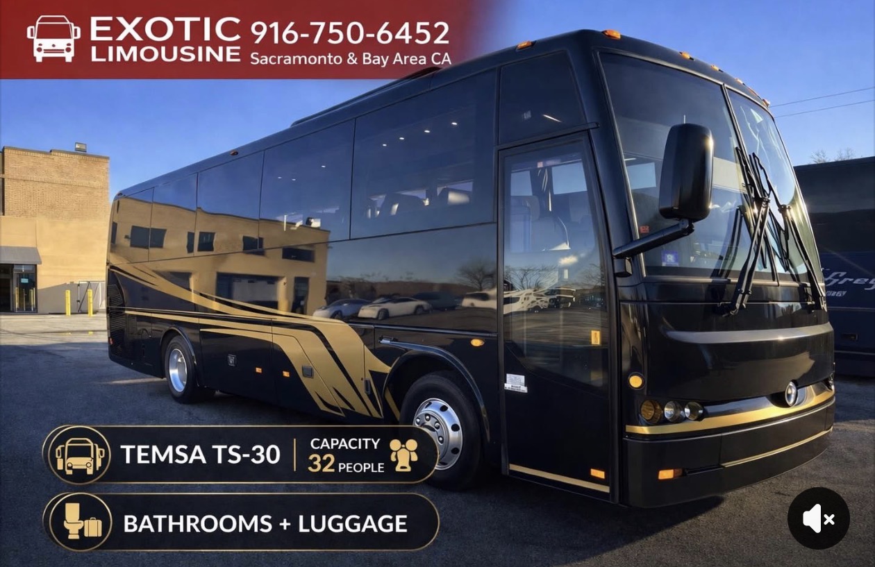 2016 Temsa TS-30
