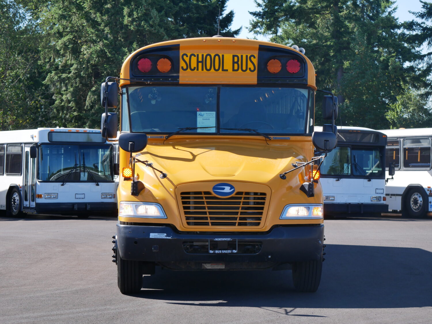Reliable 2018 Blue Bird Vision Passenger Bus