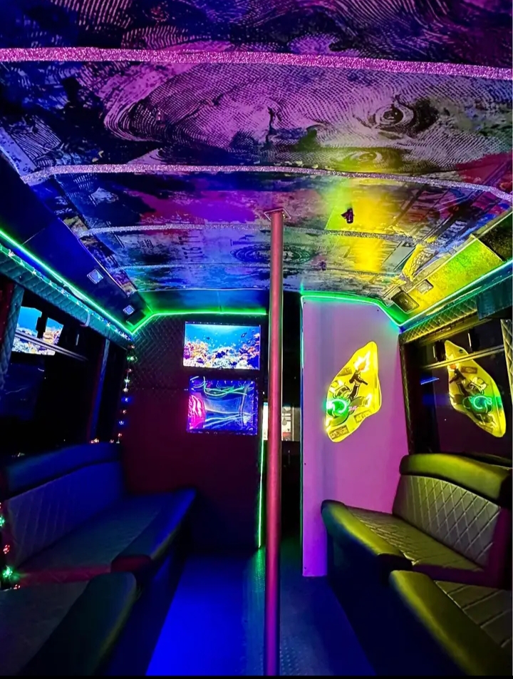 2013 Ford E-450 Party Bus