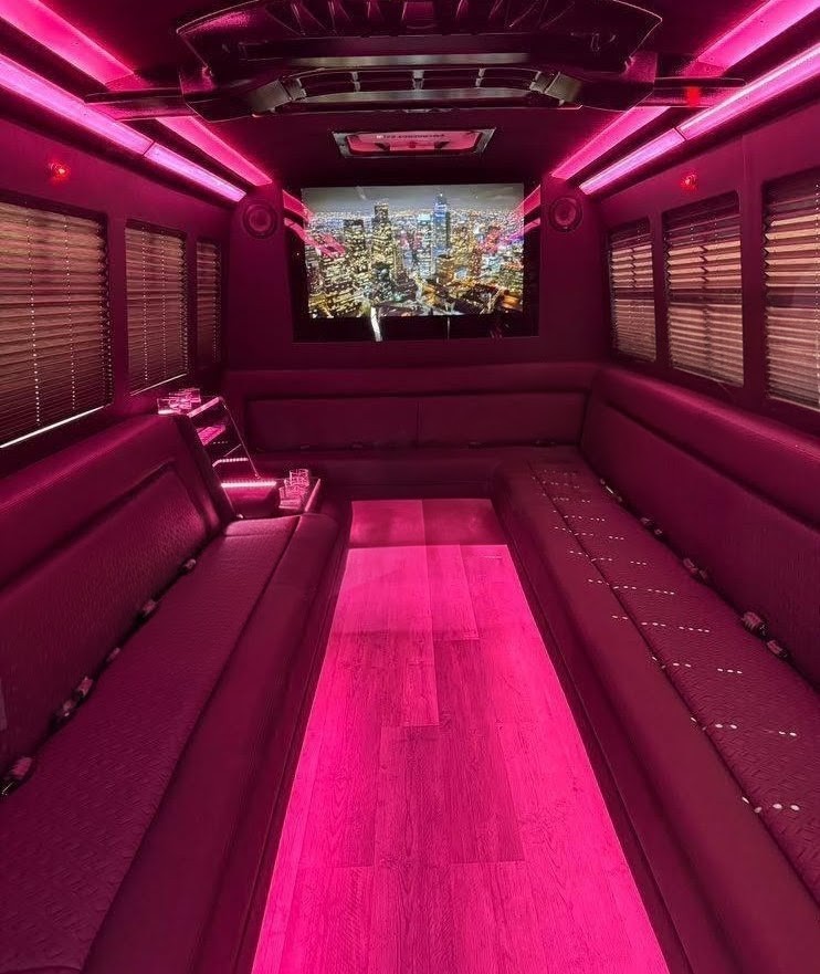 Premium 2022 Ford E450 Super Duty Limo Bus with 20-Passenger Seating