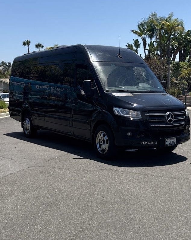 2019 Mercedes-Benz Sprinter -Limo Van