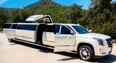 Luxury 2015 Cadillac Escalade 19-Passenger Stretch Limo