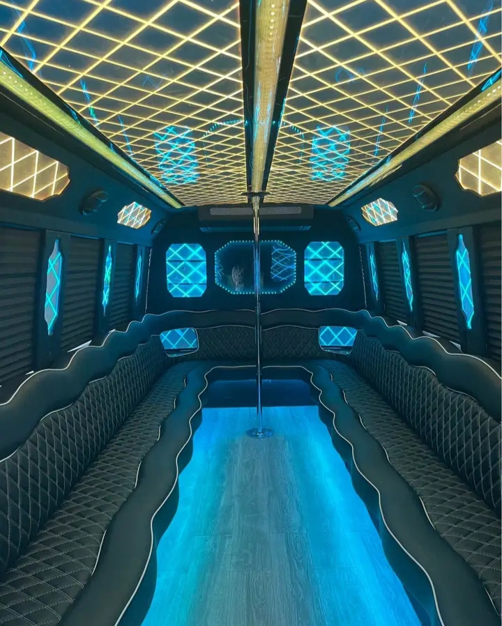 2012 Ford E-450 Limo Bus