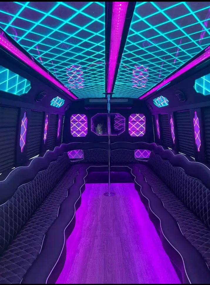 2012 Ford E-450 Limo Bus