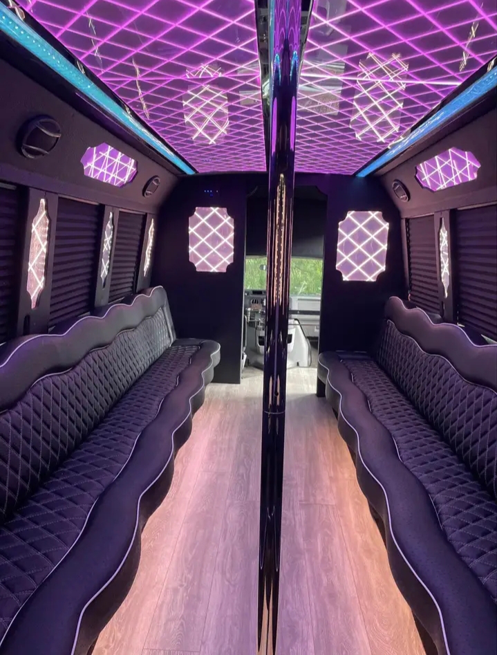 2012 Ford E-450 Limo Bus
