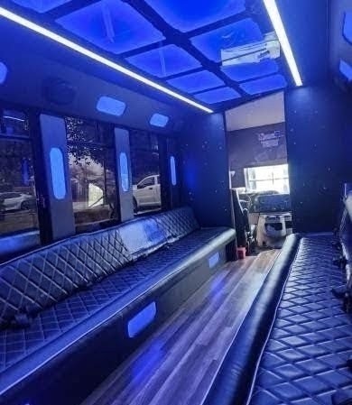 2014 Ford E450 Limo Bus – Reliable 20-Passenger Transportation