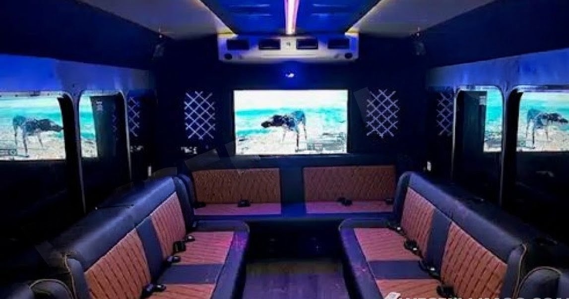2017 Ford -Limo Bus