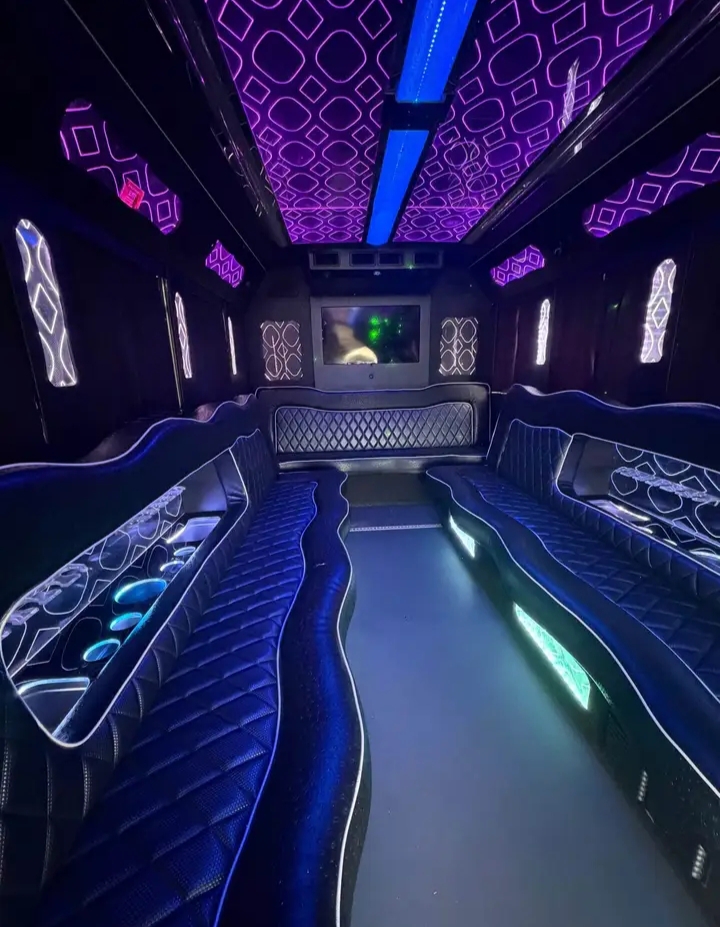 2016 Ford E-350 Party Bus