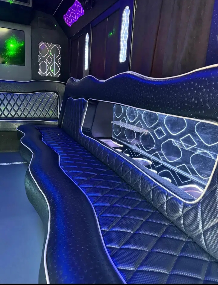 2016 Ford E-350 Party Bus