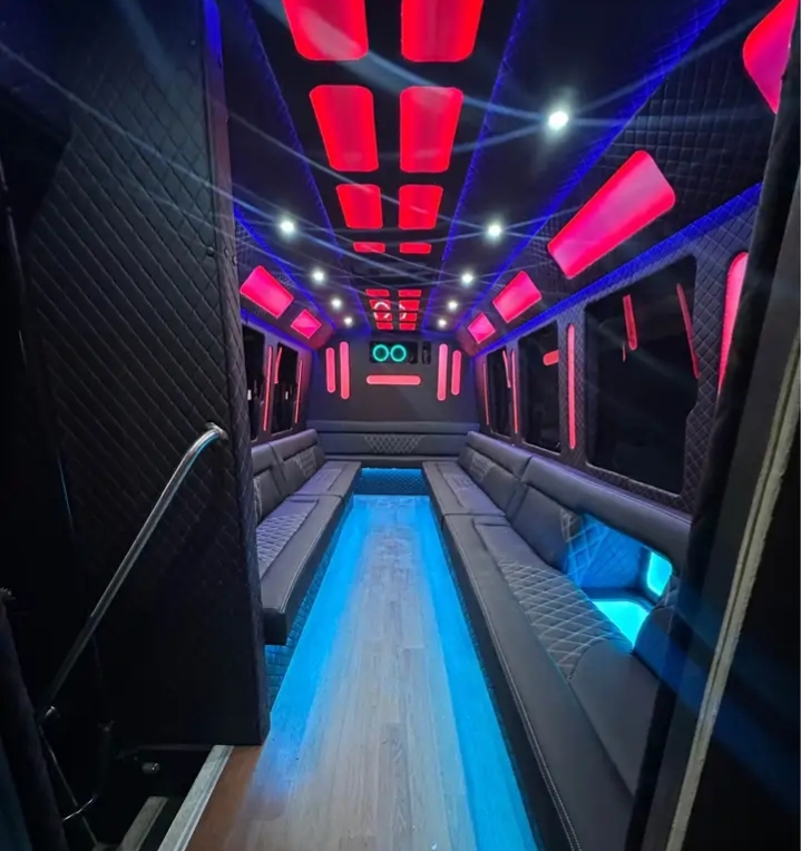 2015 Ford E-450 Limo Bus