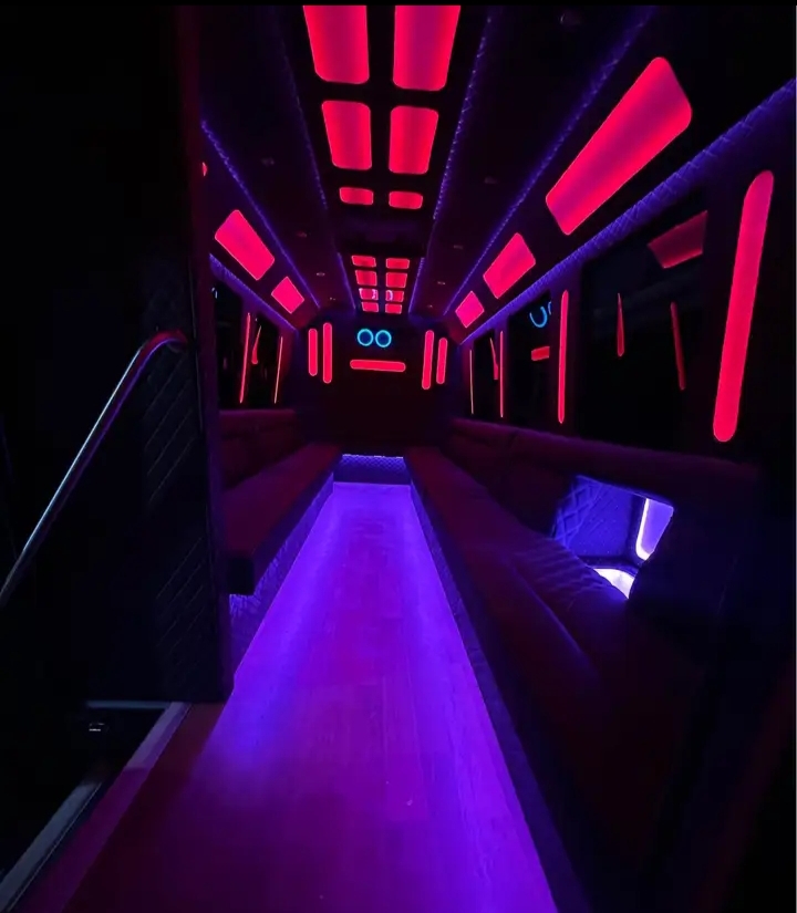 2015 Ford E-450 Limo Bus