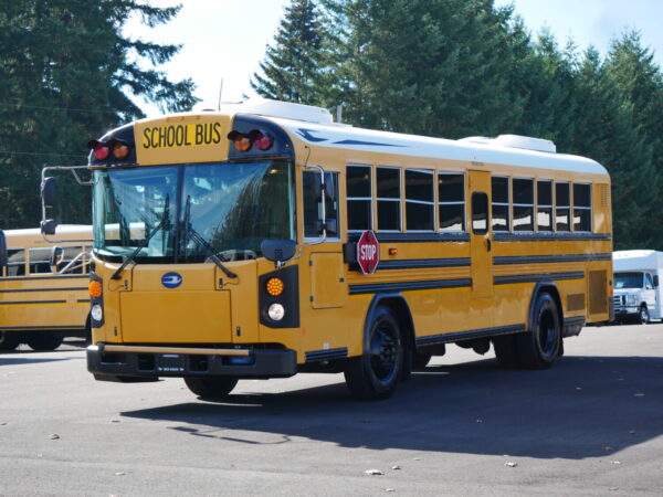 2016 Blue Bird All American 54-Passenger School Bus