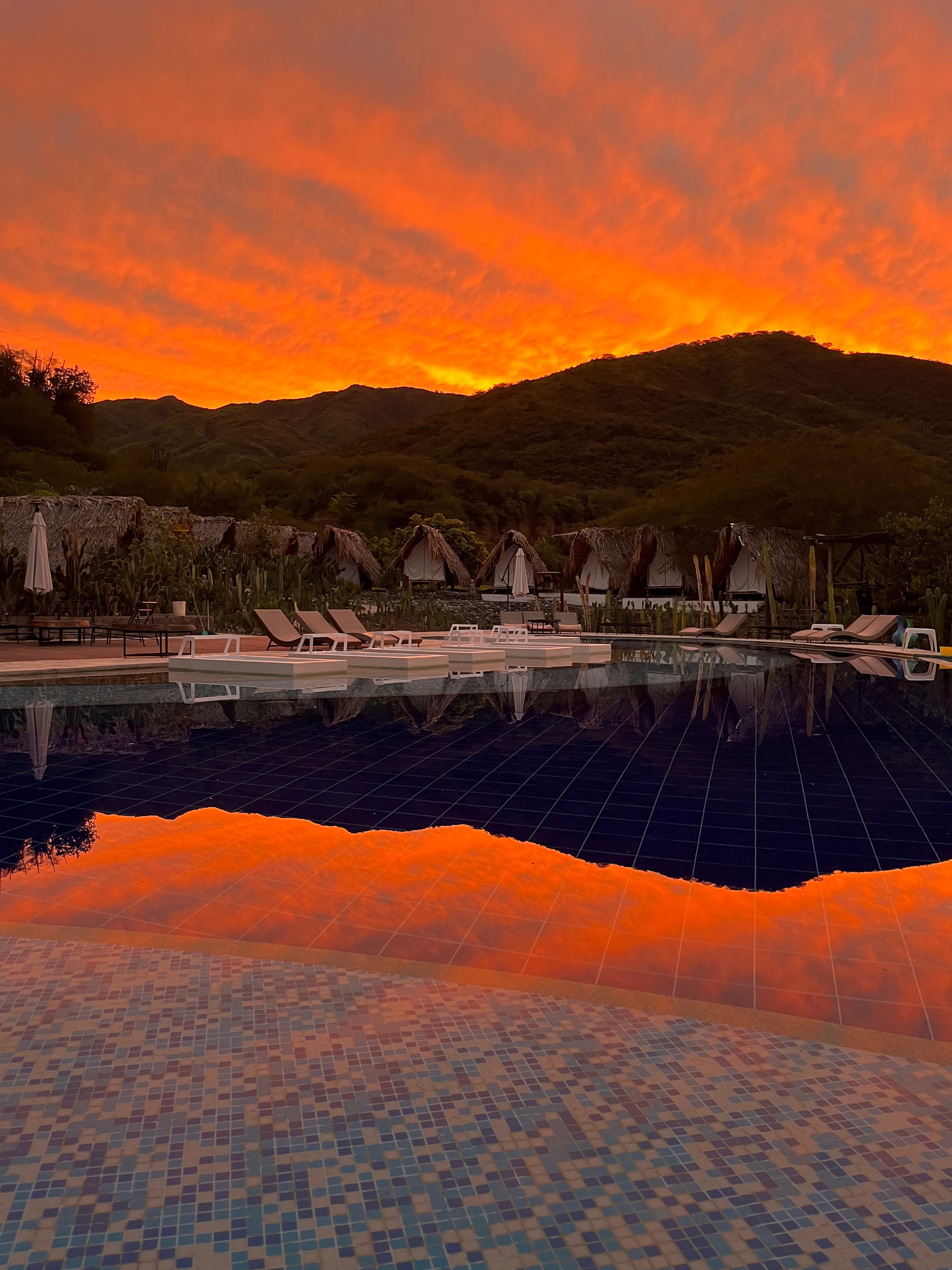 Izotal Bioluxury Hotel - Bosque Seco Tropical