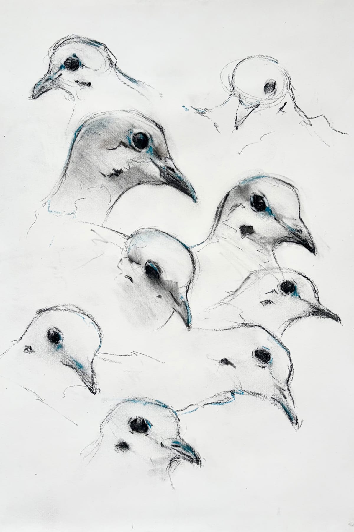 The Department of Doves