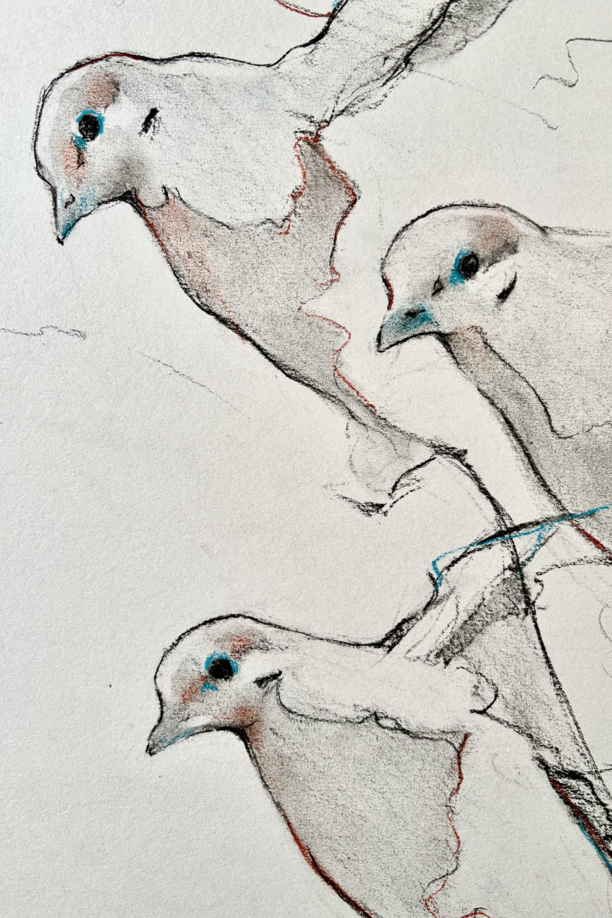 The Doves of Abshire