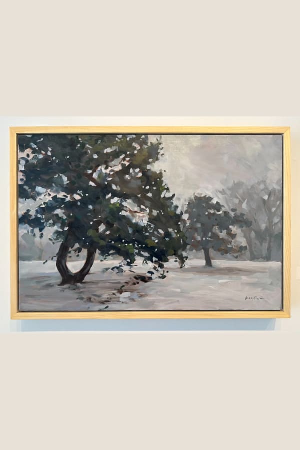 Scots Pine (Winter)