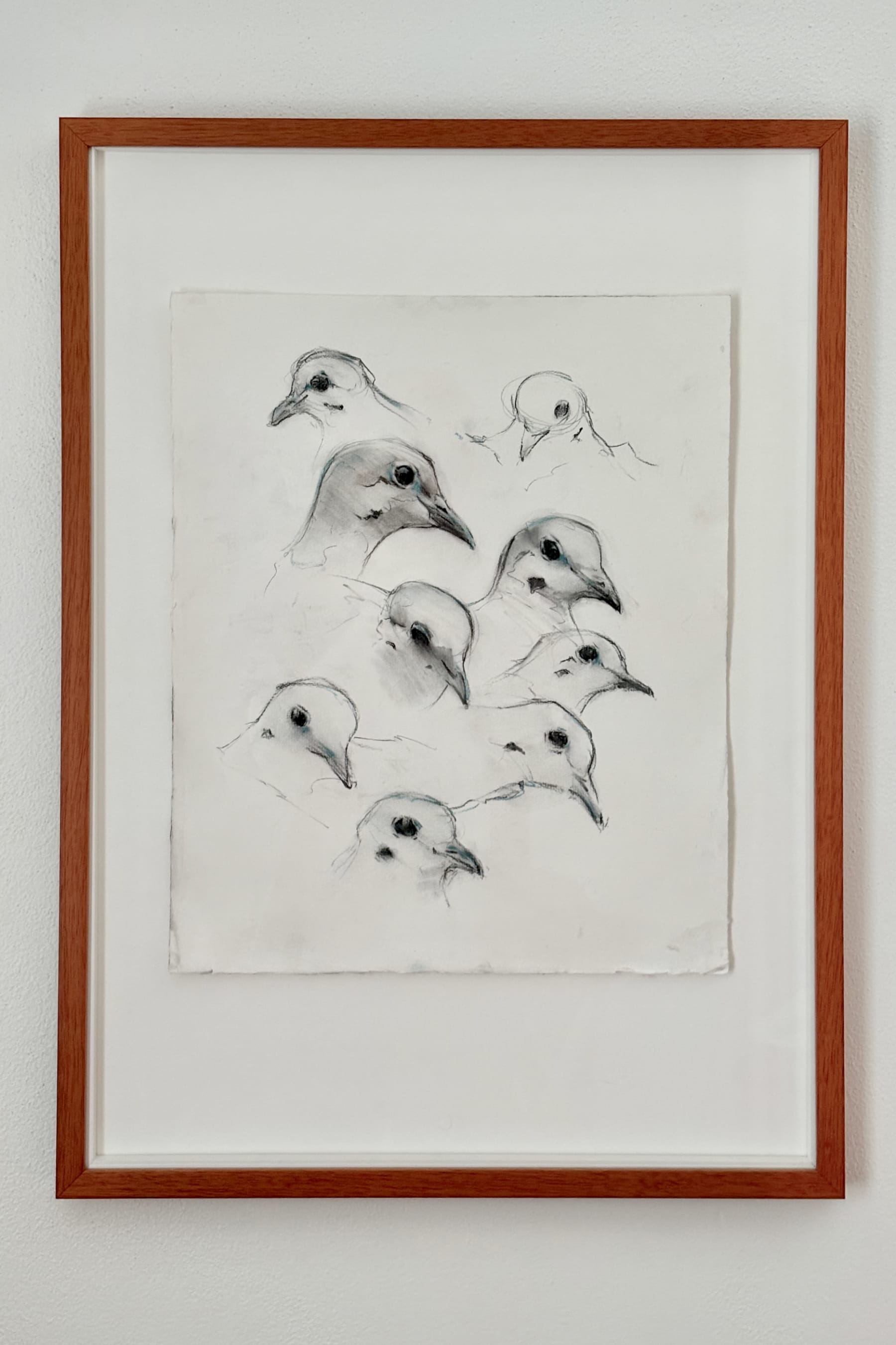 The Department of Doves