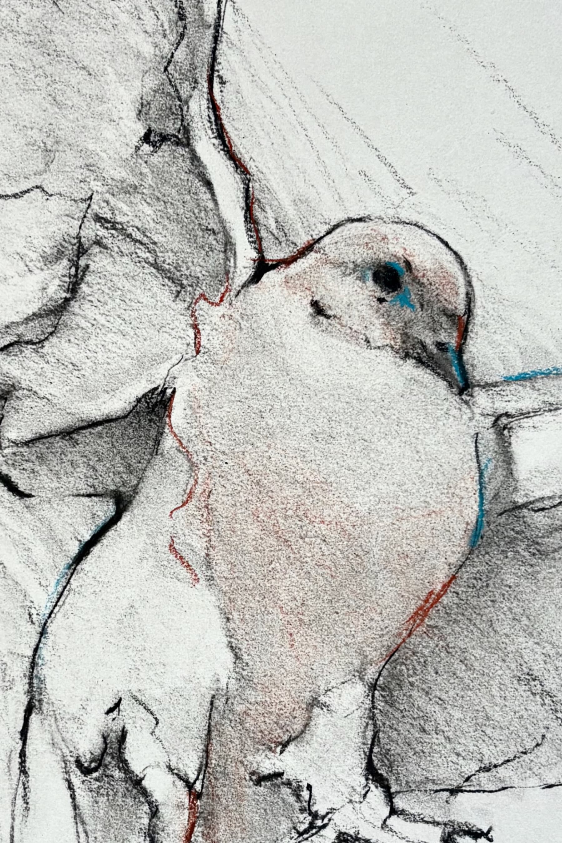 Mourning Dove (For Jim)