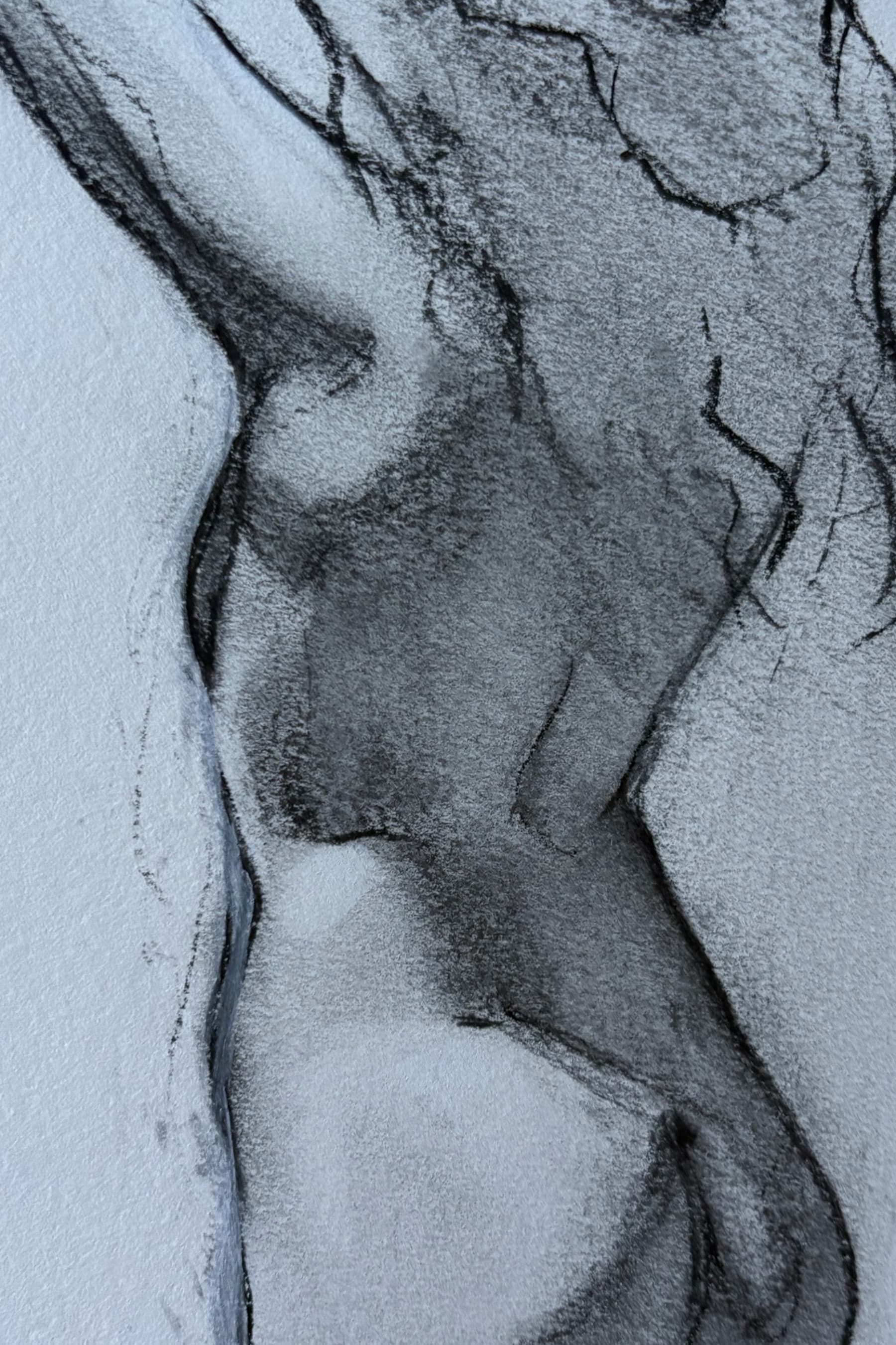 Figure Study
