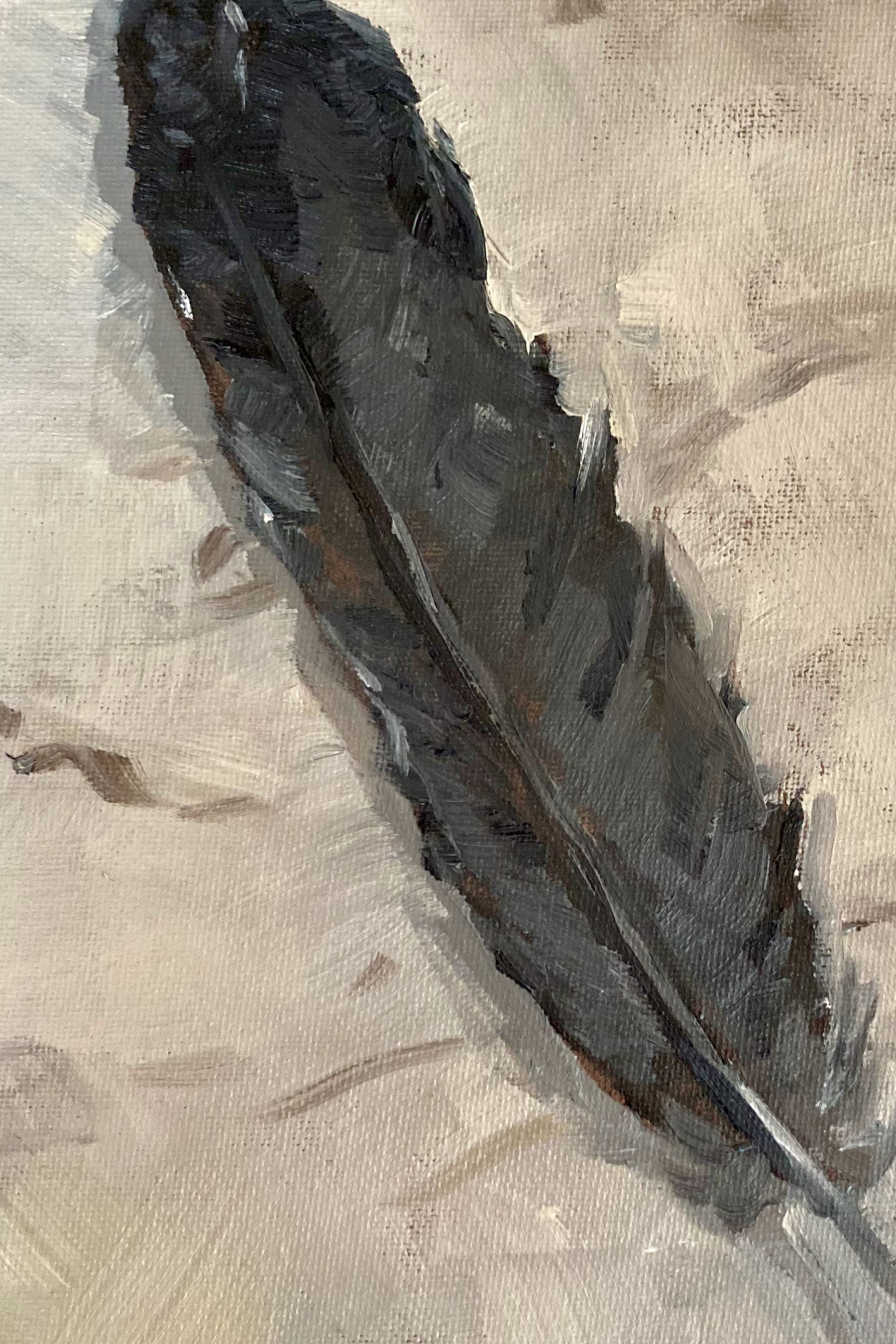 Crow Feather