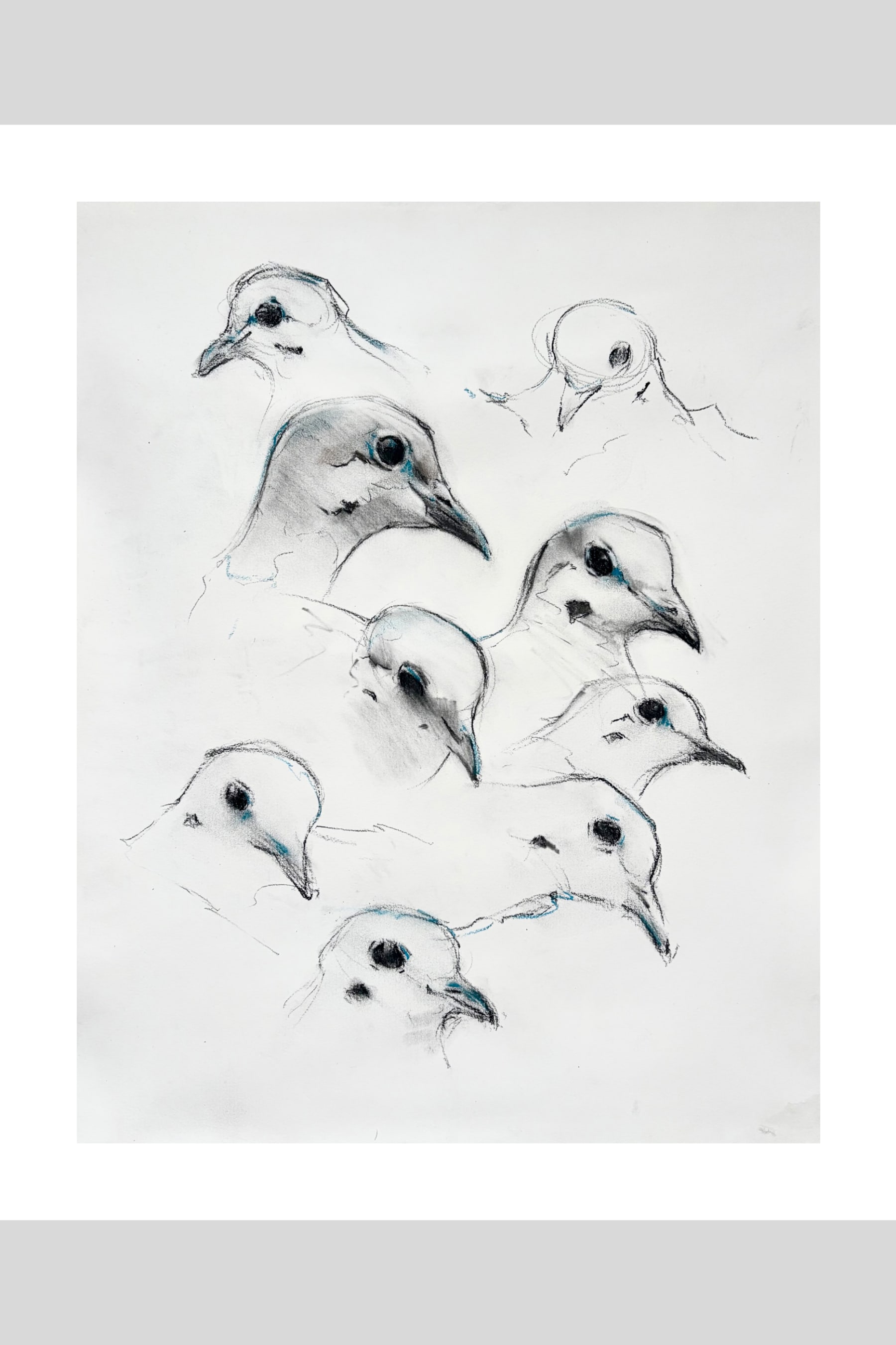 The Department of Doves