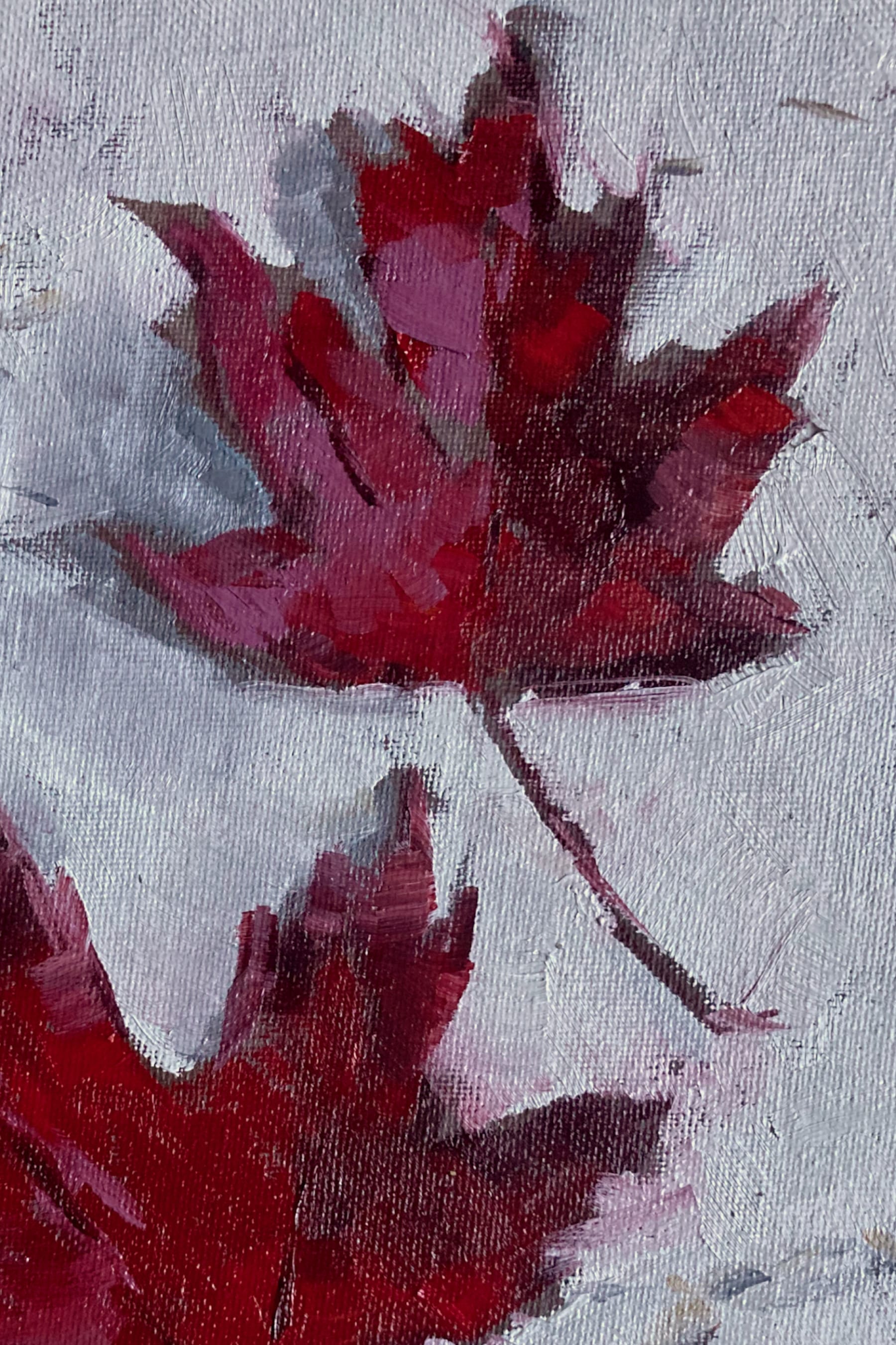 Two Maple Leaves