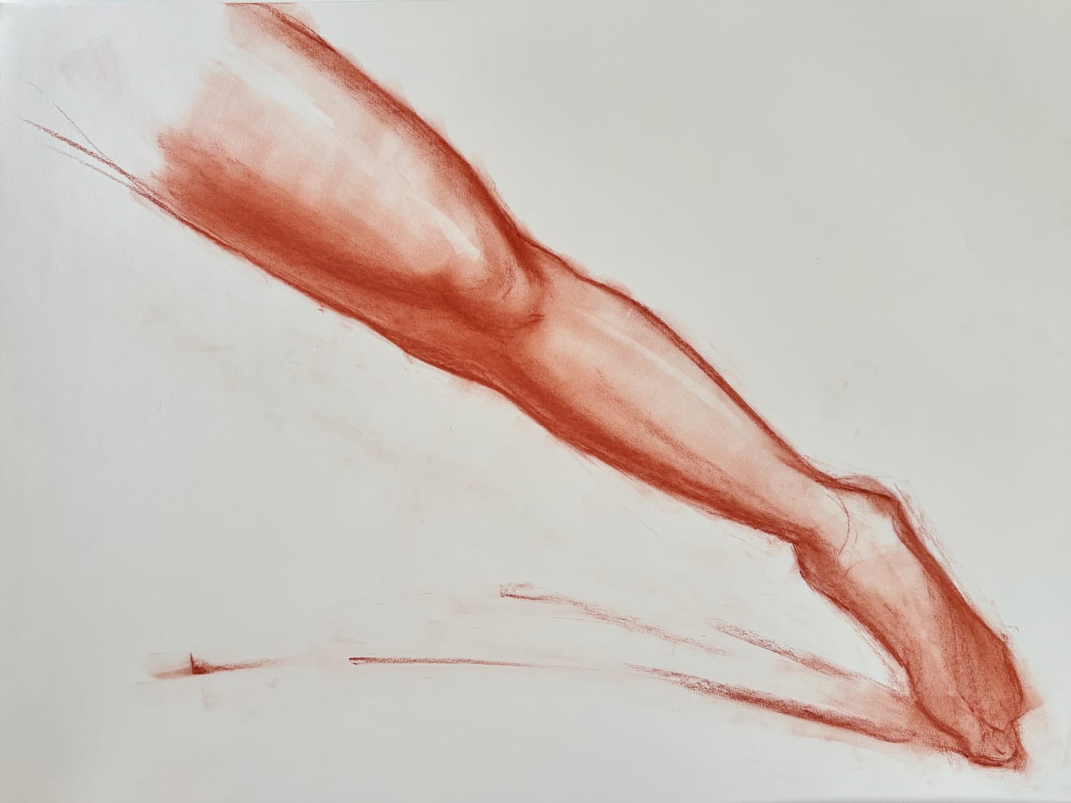 18 x 24 in., sanguine on 80lb. drawing paper