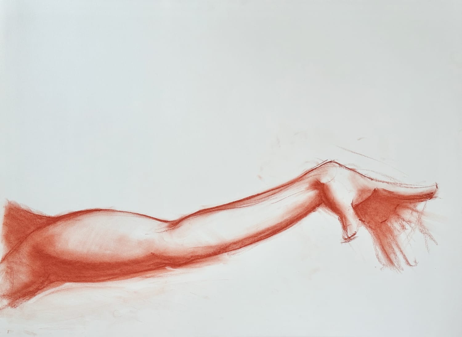 18 x 24 in., sanguine on 80lb. drawing paper
