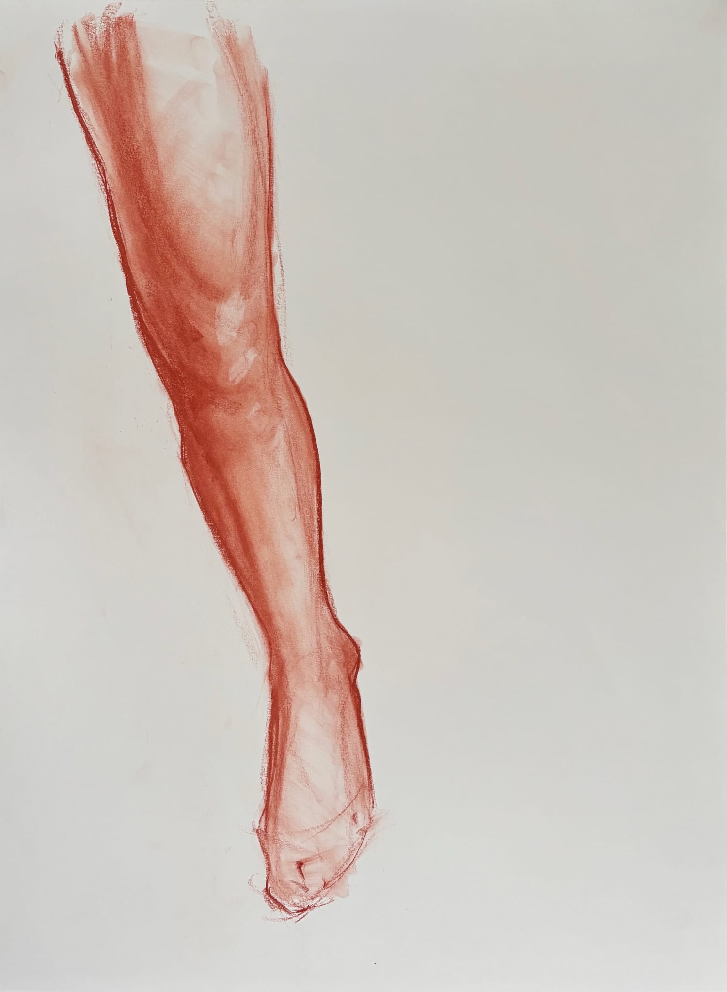 18 x 24 in., sanguine on 80lb. drawing paper