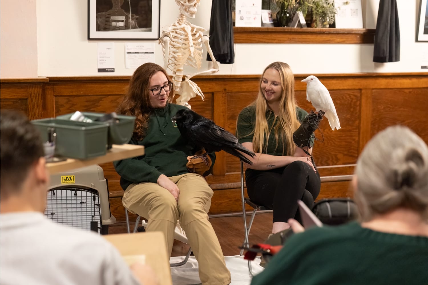 The REGI crew with Eclipse the raven and Rosie the albino crow