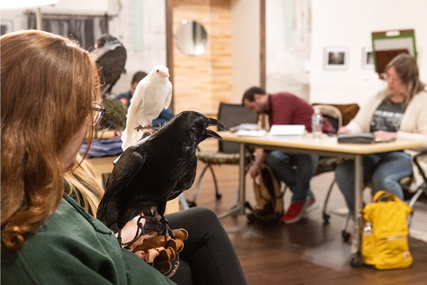 The Photo Opp Studio