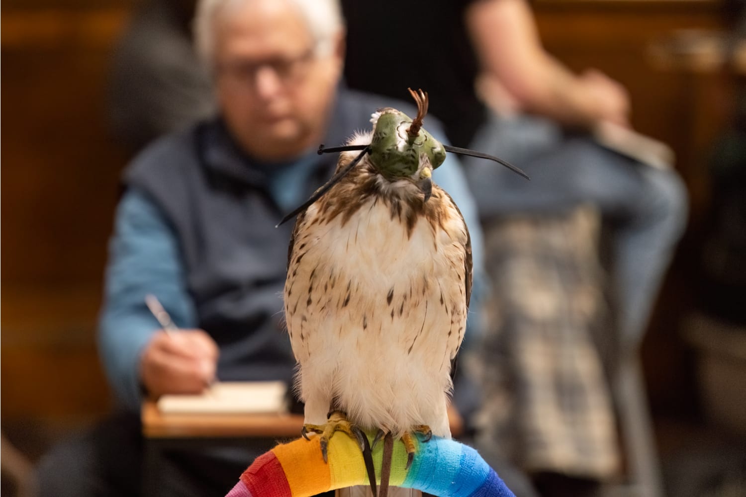 The Photo Opp Studio