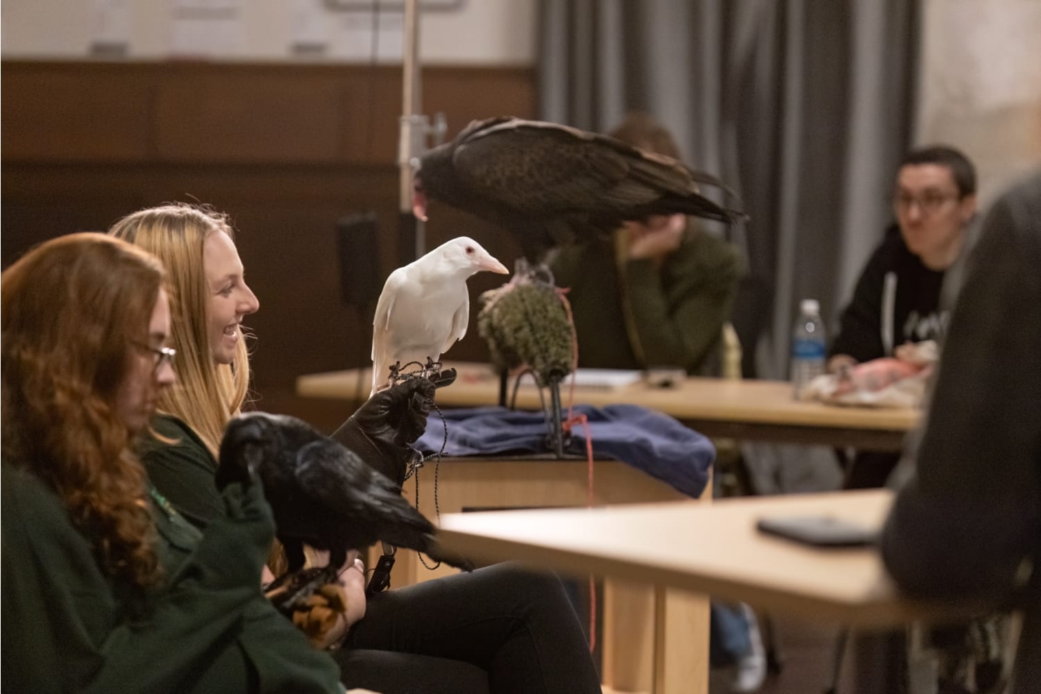 The Photo Opp Studio