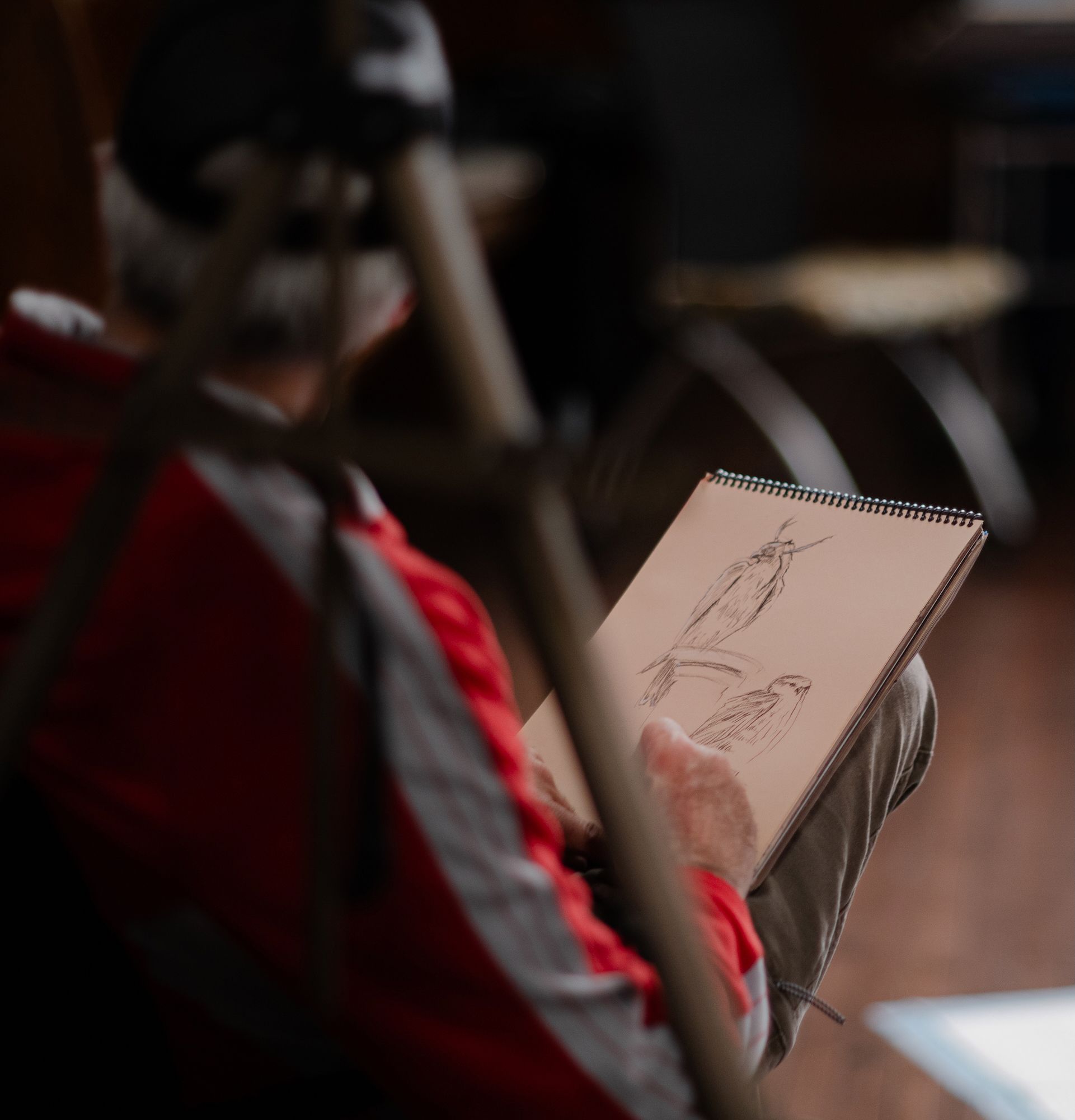 Steve drawing falcons