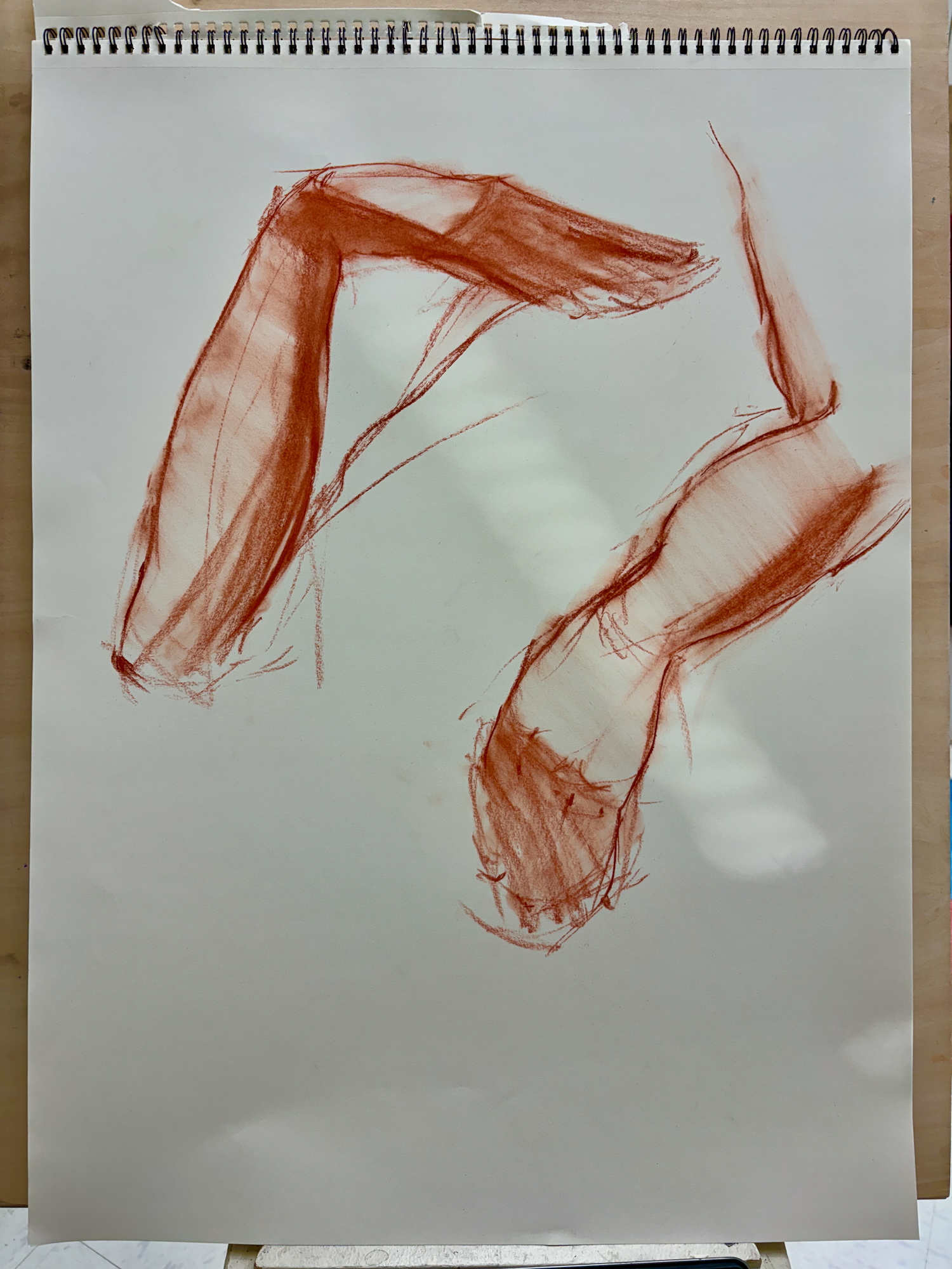 10 minute poses, sanguine, 18 x 24 in.
