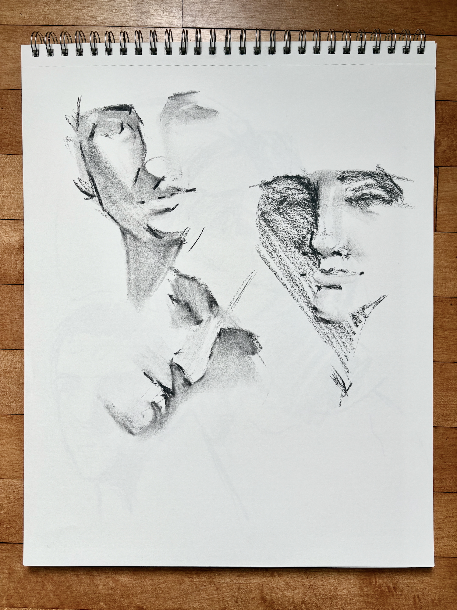 5 minute poses, vine charcoal, 14 x 17 in. I generally feel satisfied about these, after many less successful pages.