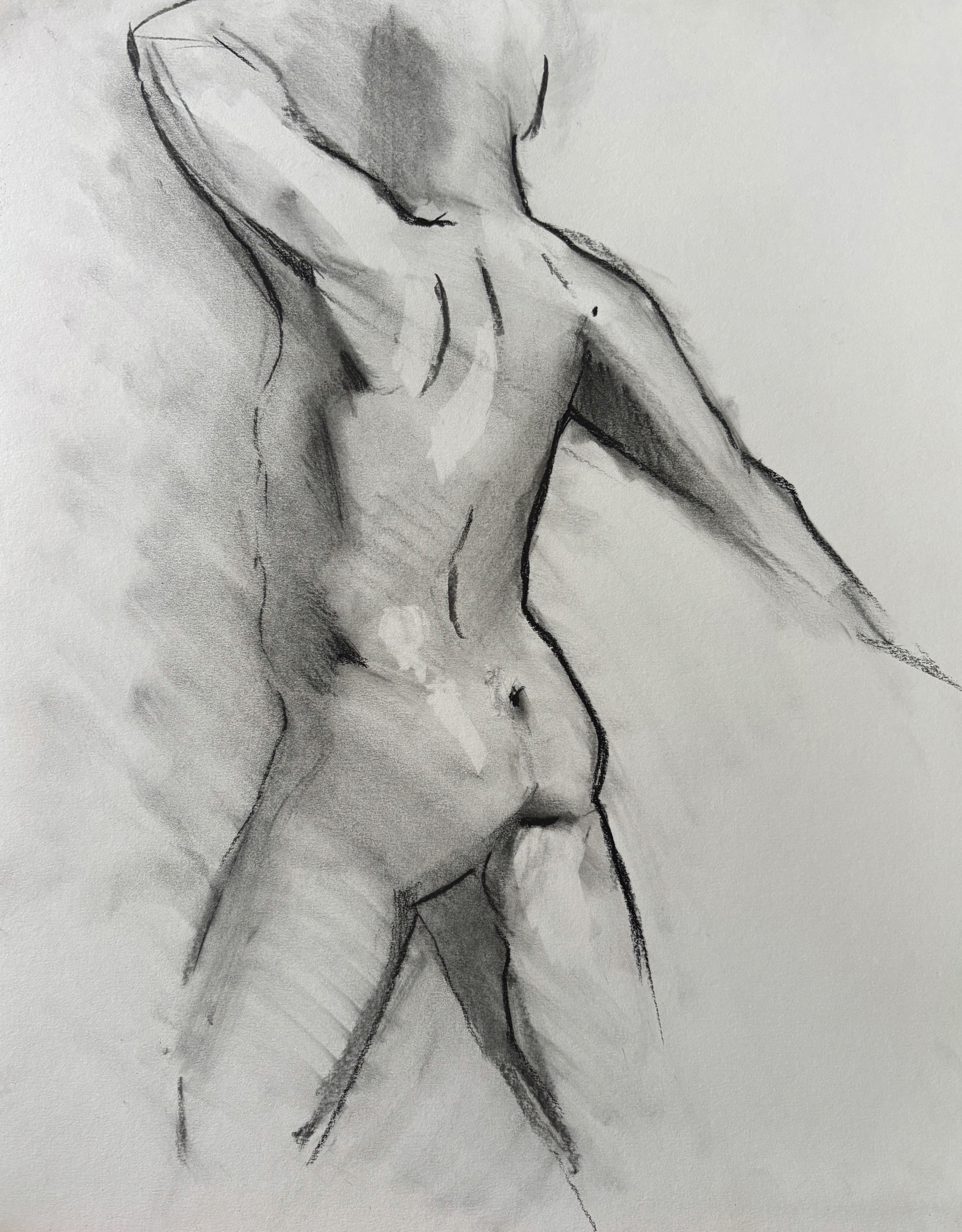 11 x 14 in., vine and charcoal pencil on drawing paper. Didn't keep track of the reference...