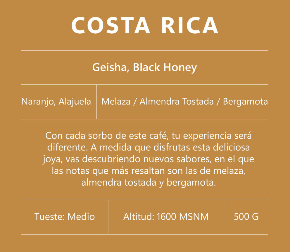 Costa Rica (Geisha, Black Honey) - Image 2