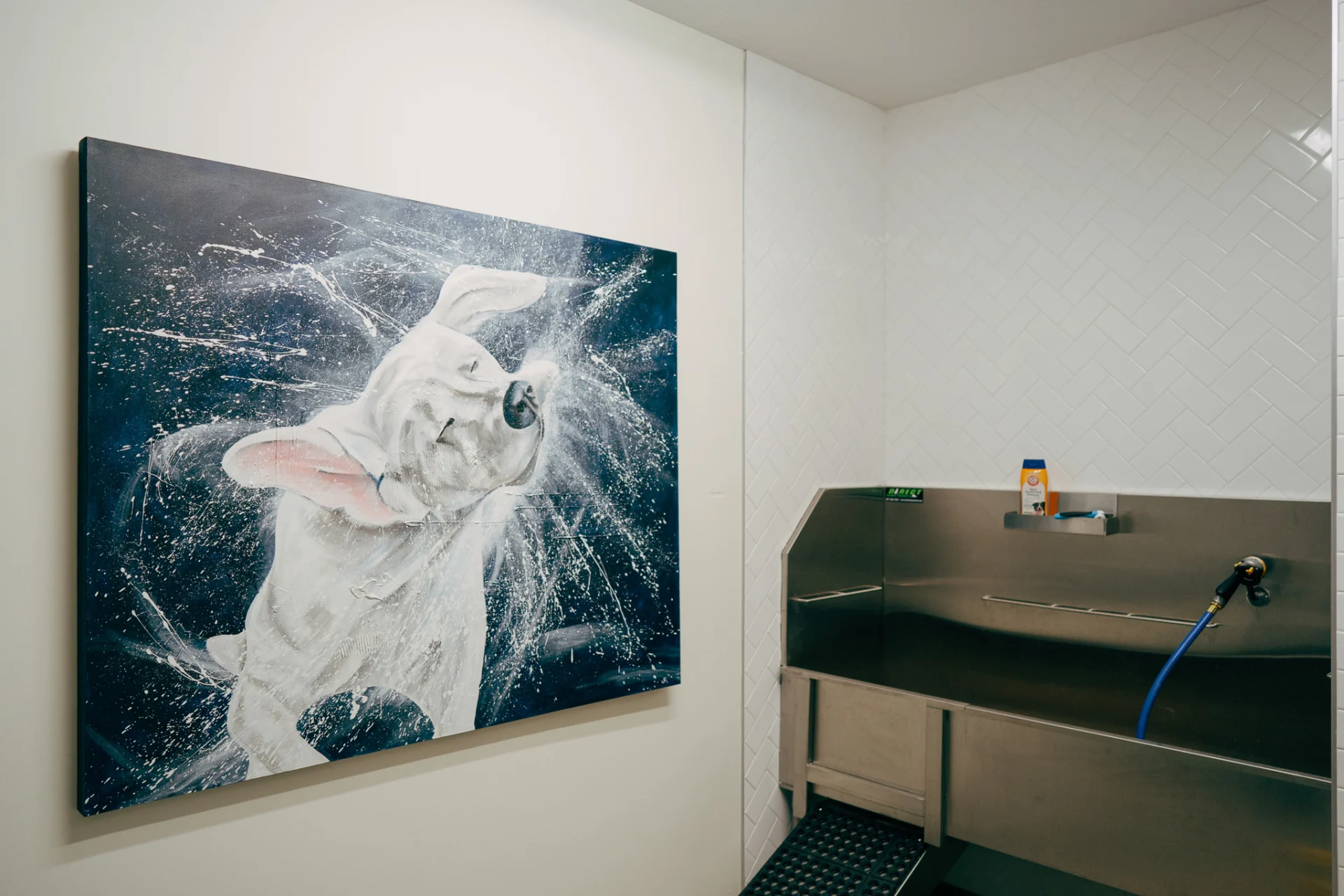 Dog Wash One
