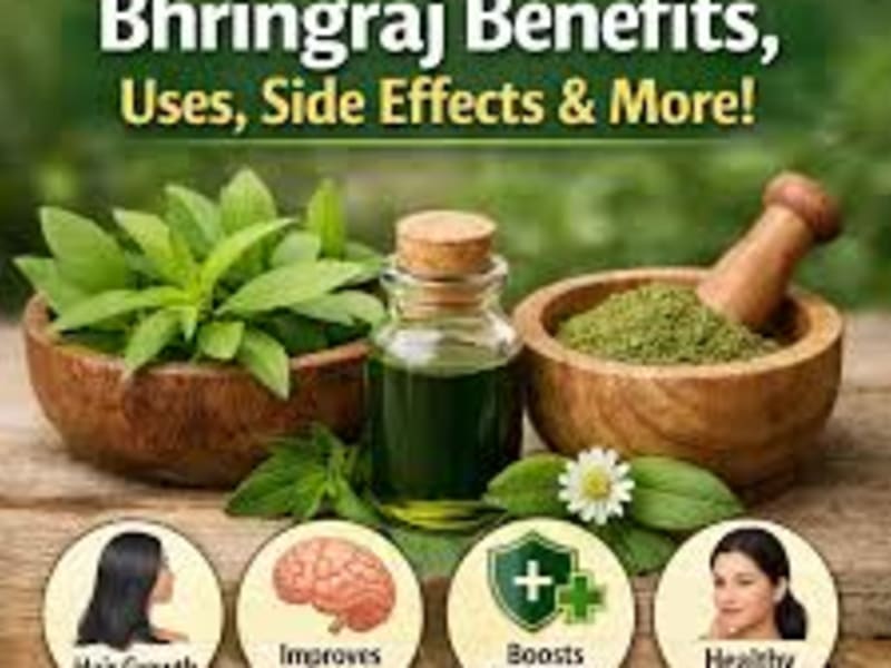 Bhringraj Benefits, Uses & Side Effects Explained