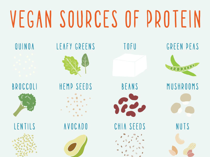Plant-Based Protein Sources Ranked by Completeness
