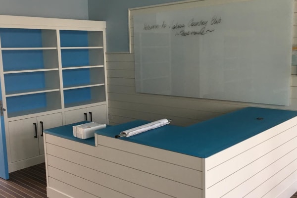Cabinet Refinishing project