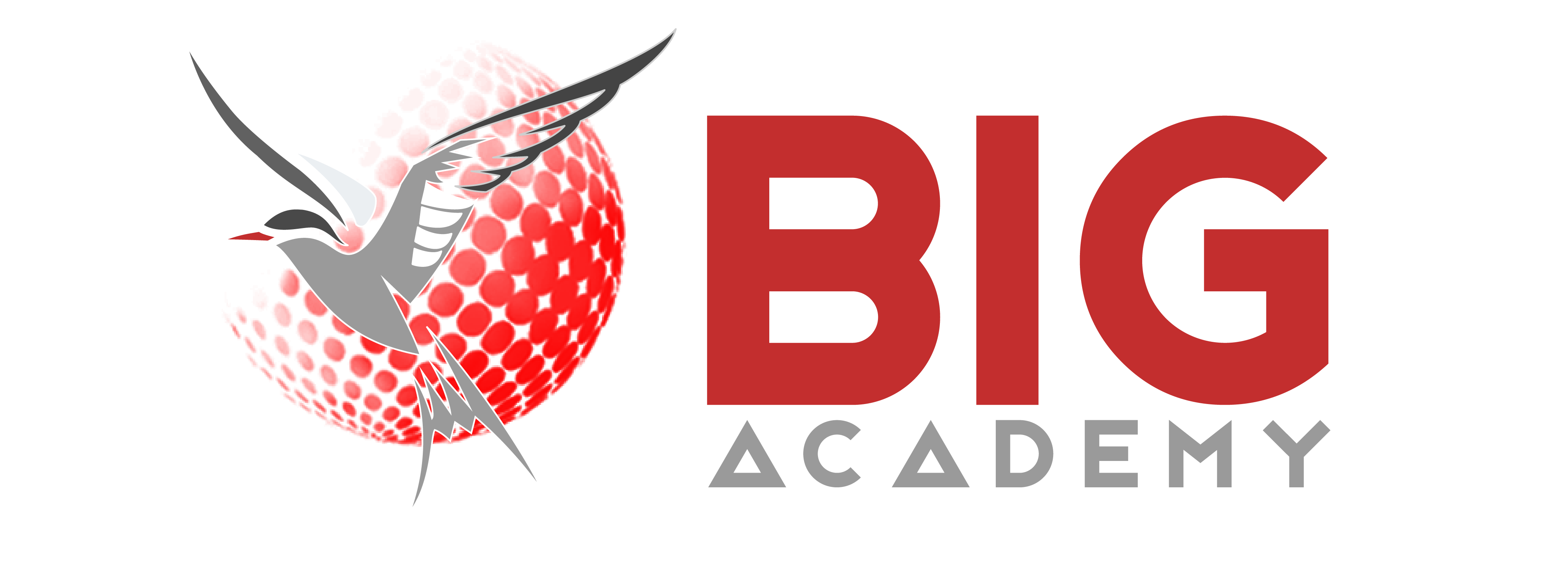 The BIG Academy logo