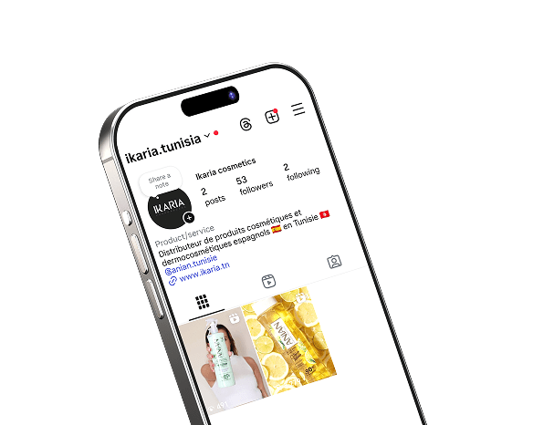 Phone mockup showing Instagram profile