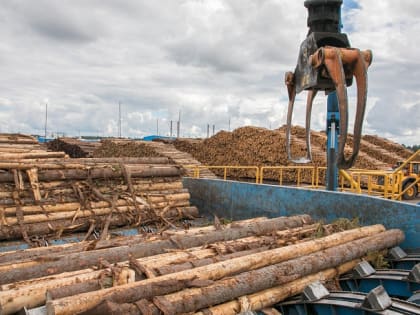 В начале года предприятия ЛПК Поморья показывают рост производства
