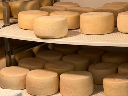 Основным приоритетом молочной отрасли остается обеспечение доступности продукции для населения