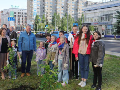 Аллея в честь юбилея: на проспекте Ломоносова высадили яблони