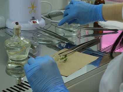 Высшие учебные заведения и научные организации Архангельской области приглашают к участию в конкурсе на получение грантов.