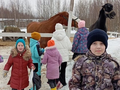 В рамках партпроекта 